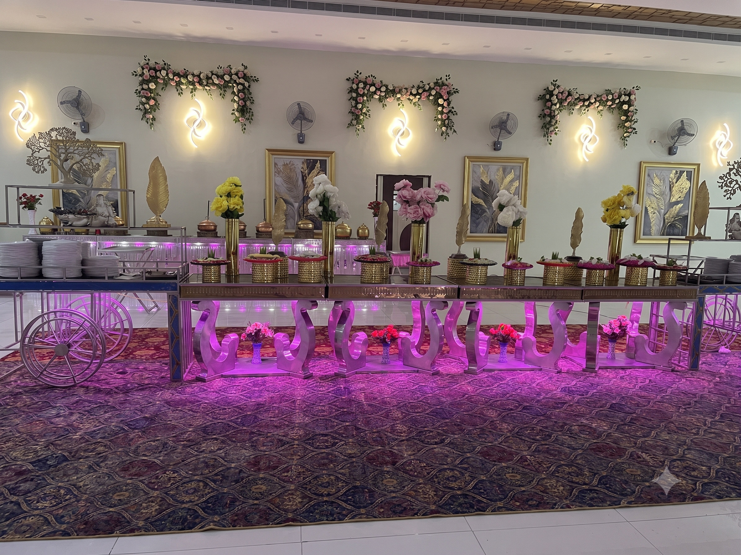 Catering and food spread at SD Farm Dhand wedding venue in Kaithal